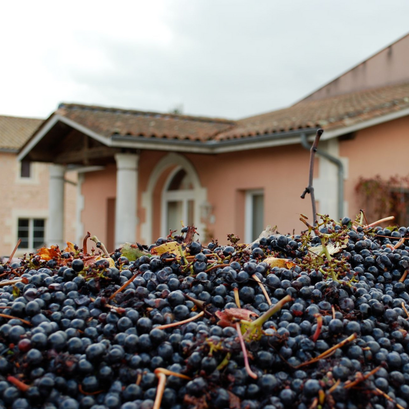 Château La Rose Bellevue